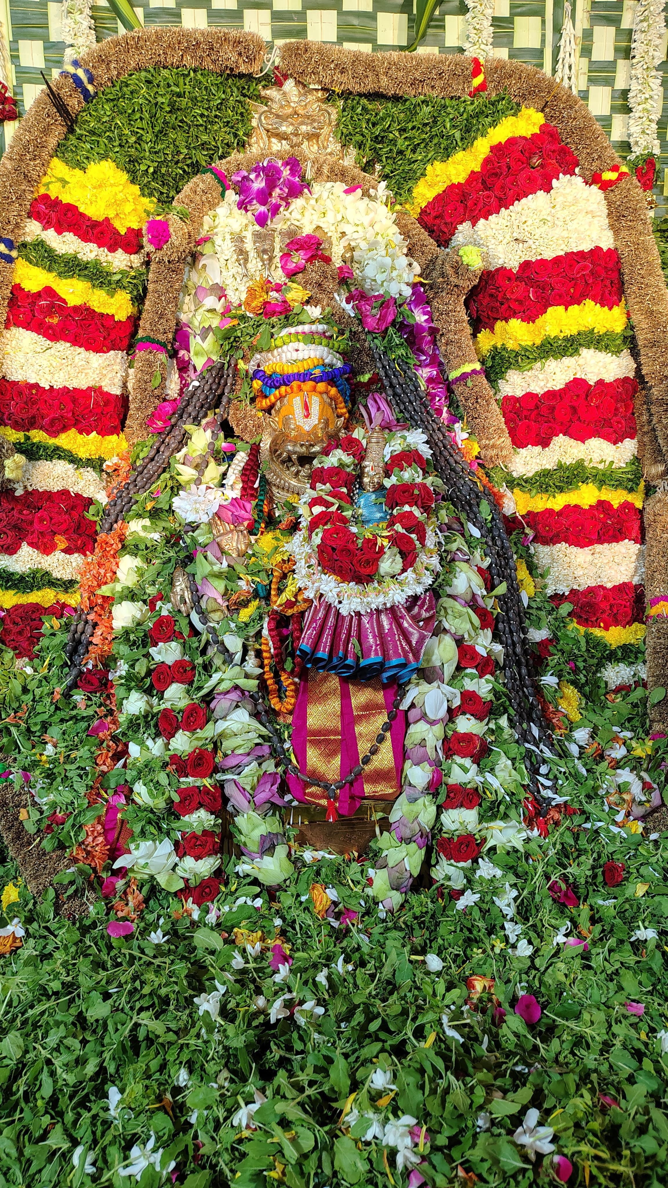 Seva Image