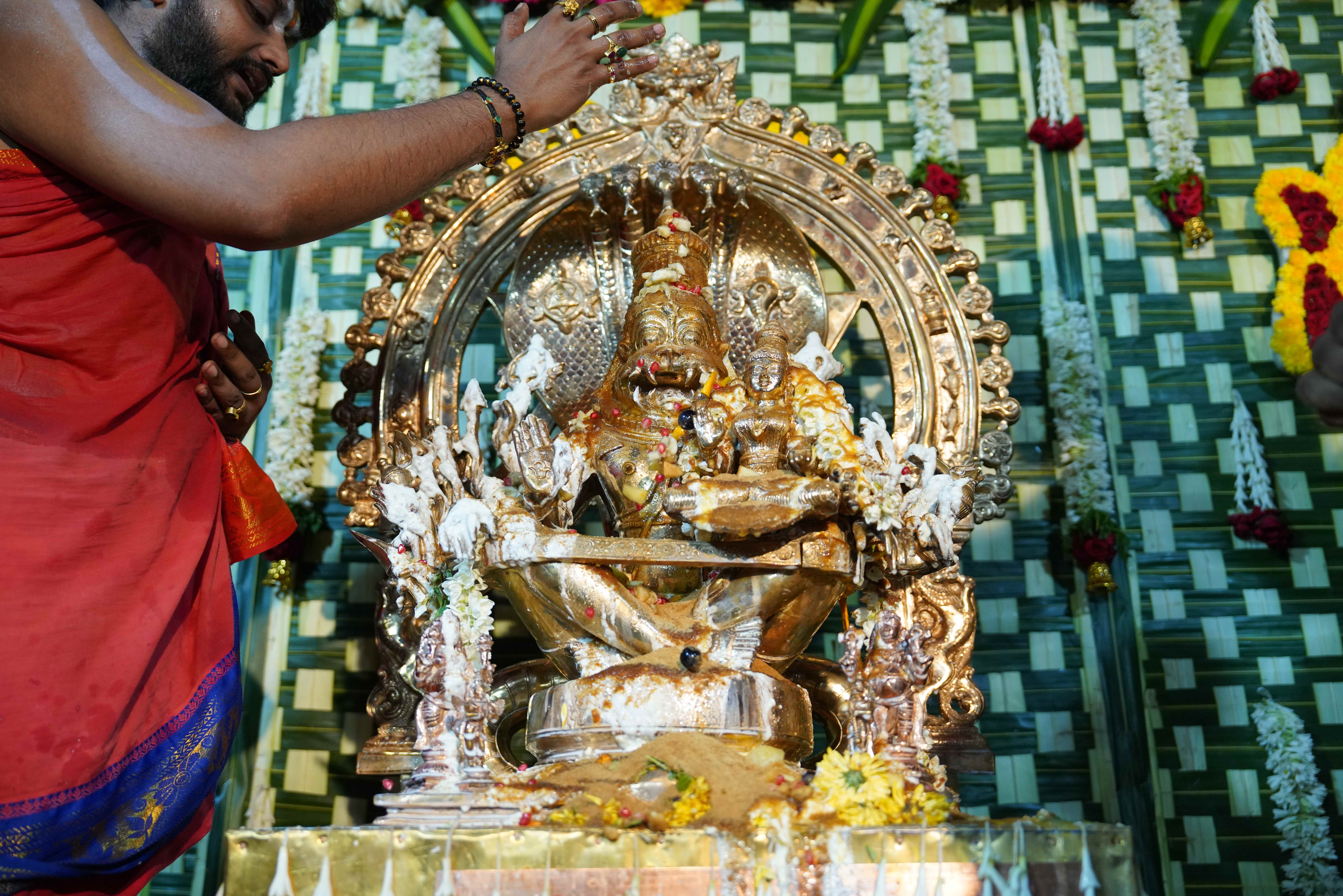 Seva Image