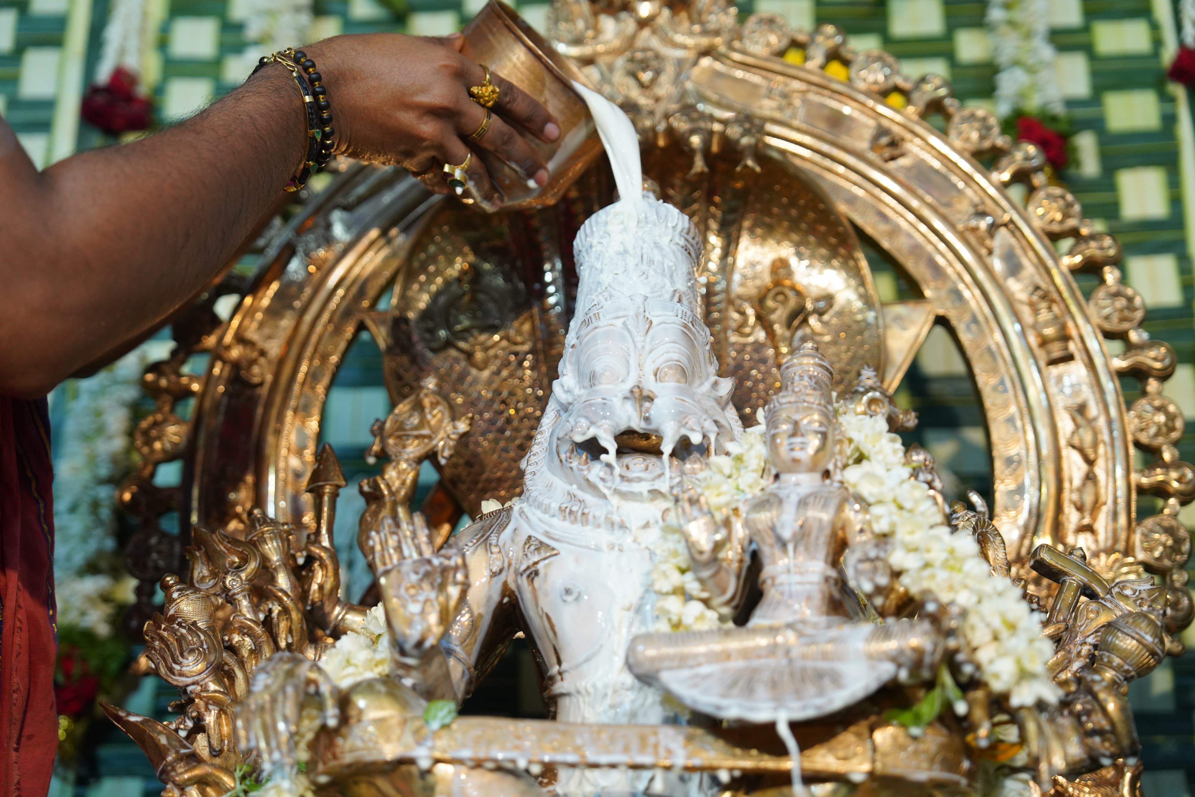 Seva Image